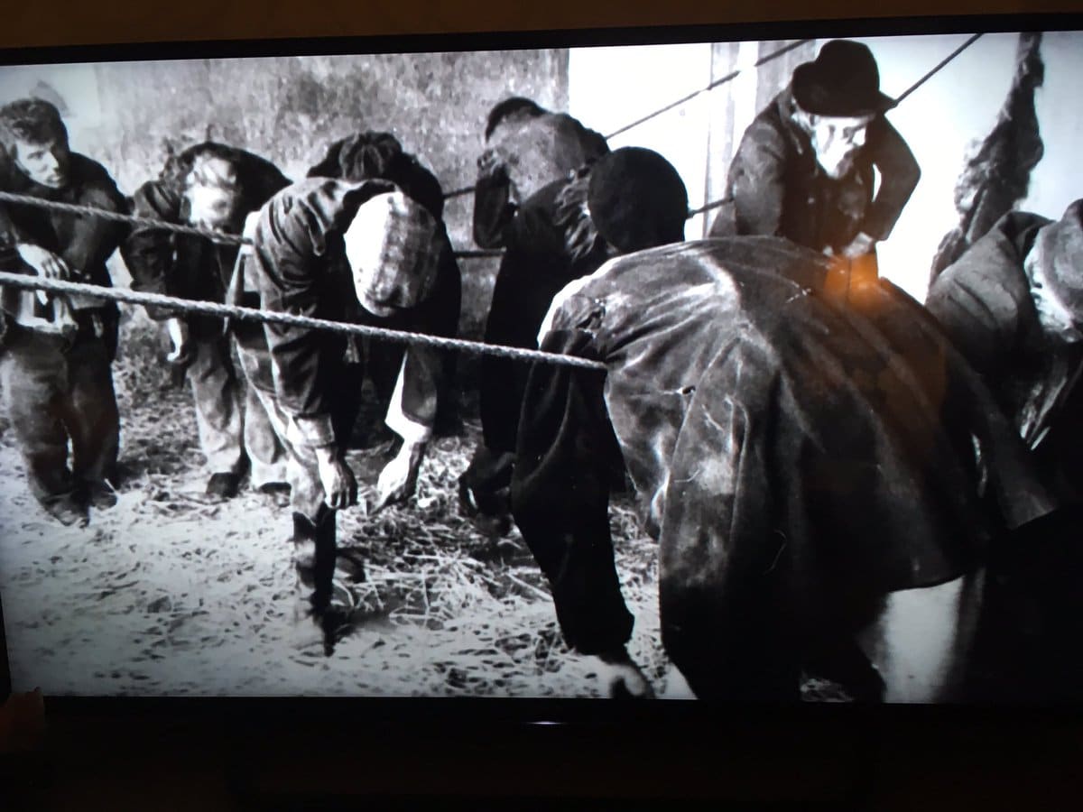 ¡Se viene la maroma! Diario El Sureño