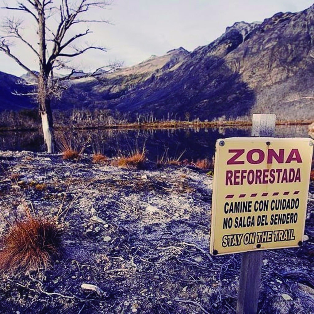 Con una plantación de árboles cierran en Río Grande el proyecto “Soy Parte del Bosque Fueguino” Con una plantación de árboles cierran en Río Grande el proyecto “Soy Parte del Bosque Fueguino”