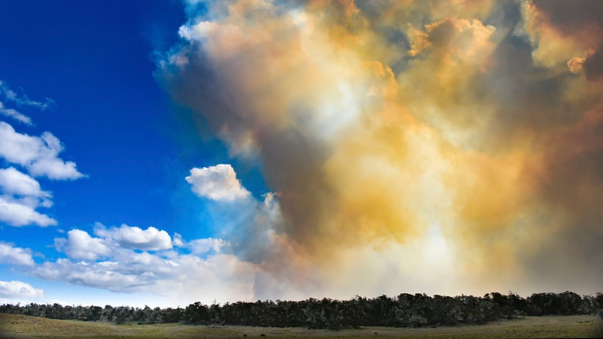Las llamas abarcan “9.000 hectáreas”: la justicia investiga su origen
