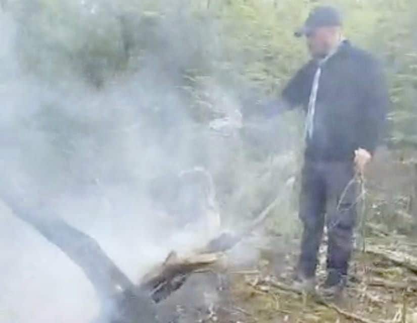 Incendio intencional en el Pipo