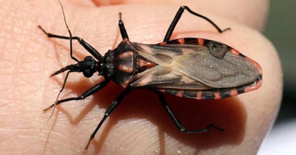 Inscriben para capacitación sobre chagas
