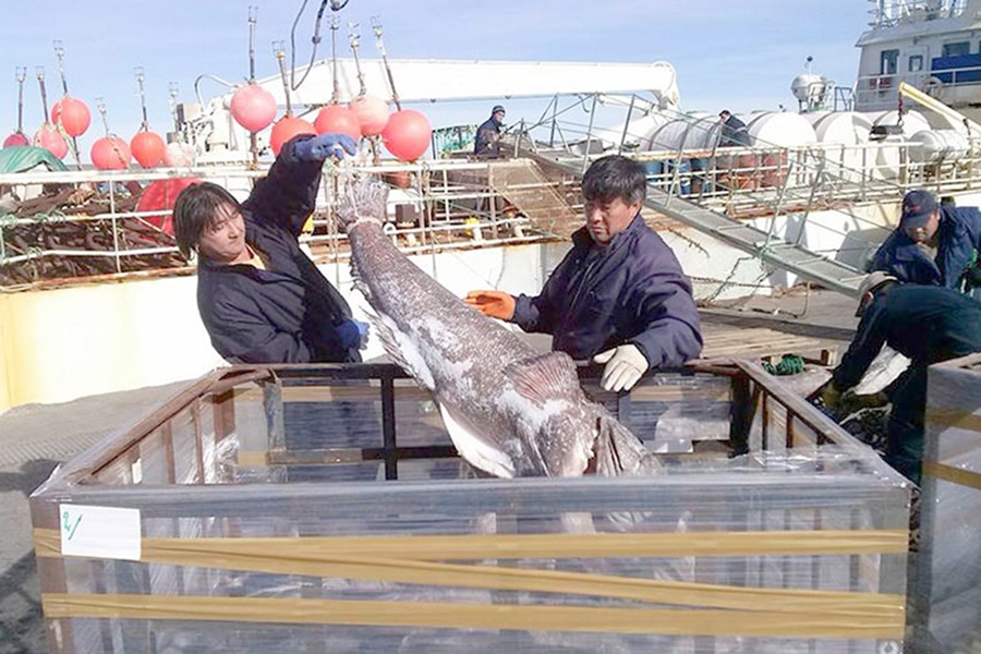 “Hubo pesca intencional y dirigida” del pesquero TAI AN