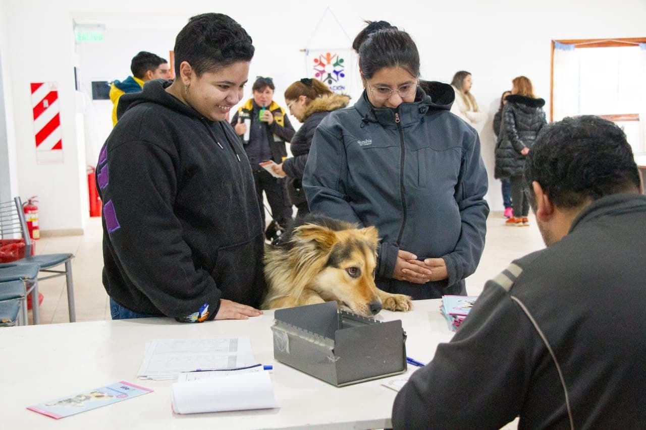Nueva jornada de castraciones para caninos en Casa de Jóvenes