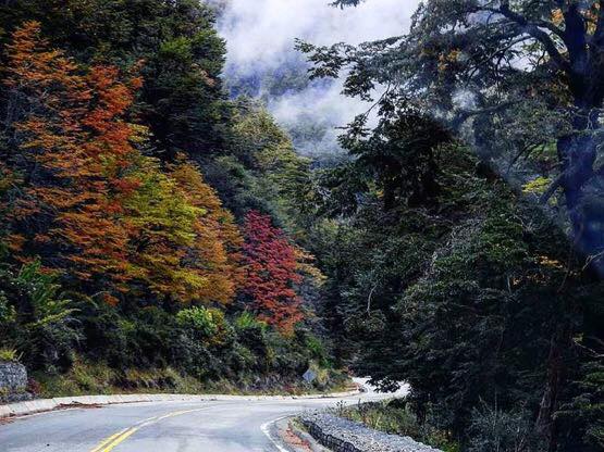 Descubrí el otoño de Dina Huapi: color, naturaleza y tranquilidad