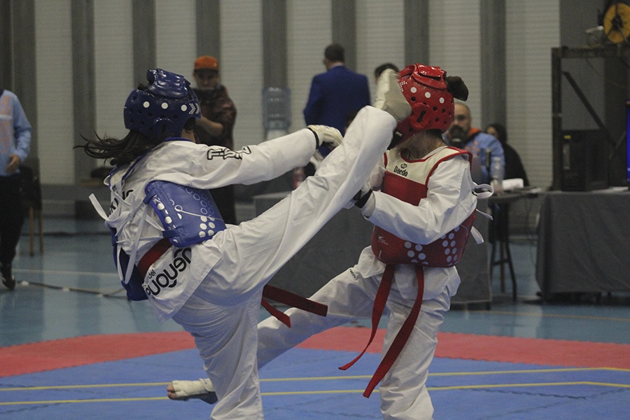 La fiesta del Taekwondo WT
