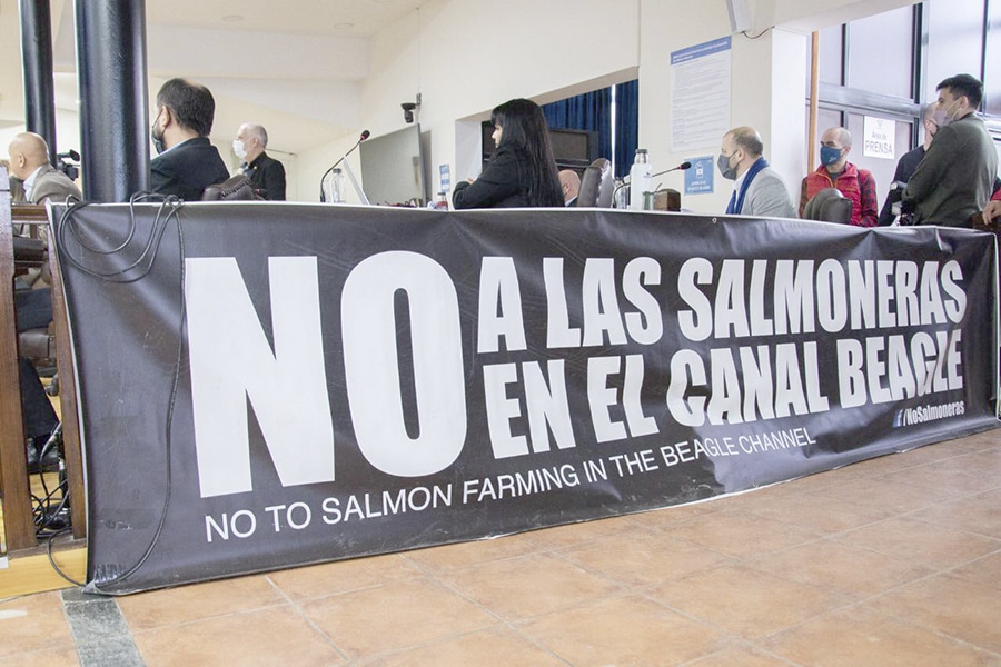 Empresarios apuntan a la cría de salmones