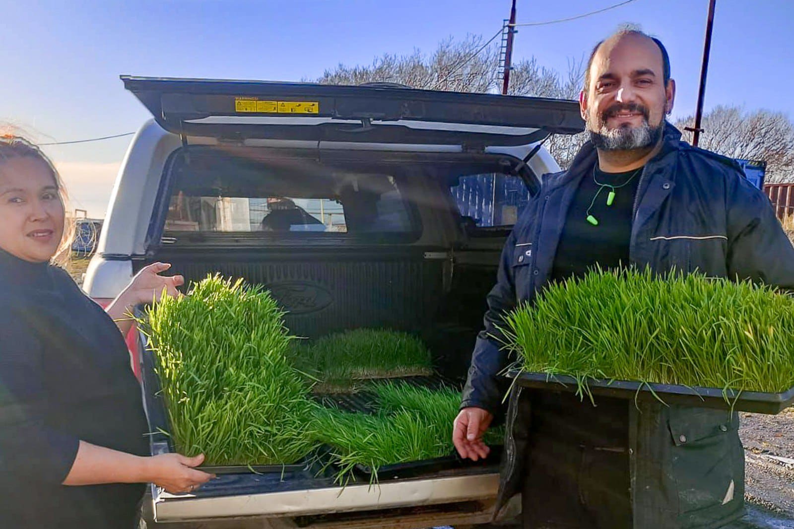 El Municipio de Río Grande entregó forraje hidropónico a productores avícolas