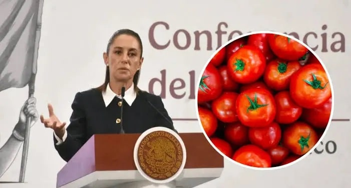 El gobierno de México rechaza el impuesto del 17,09% a sus tomates por Estados Unidos