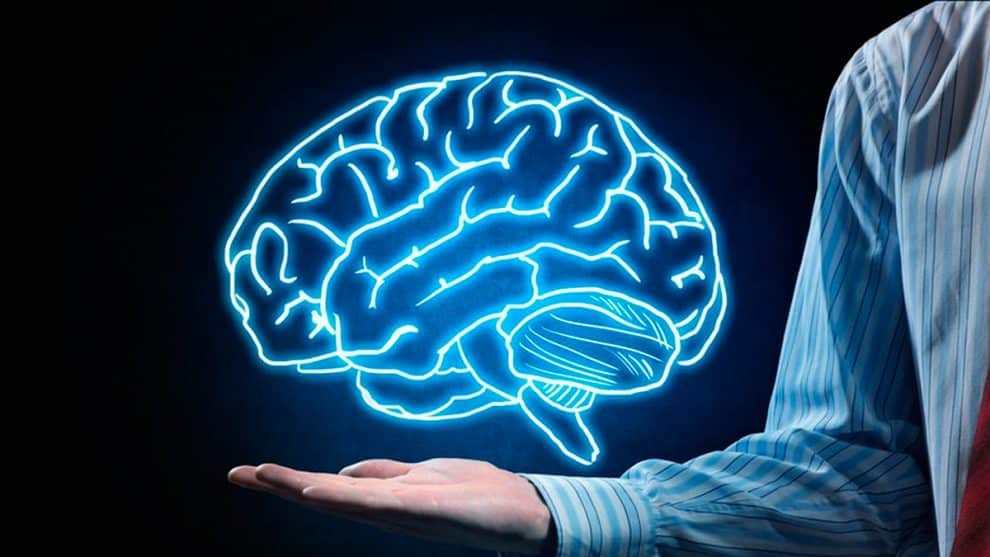 Día Mundial del Cerebro: las enfermedades neurológicas son la primera causa de discapacidad a nivel mundial