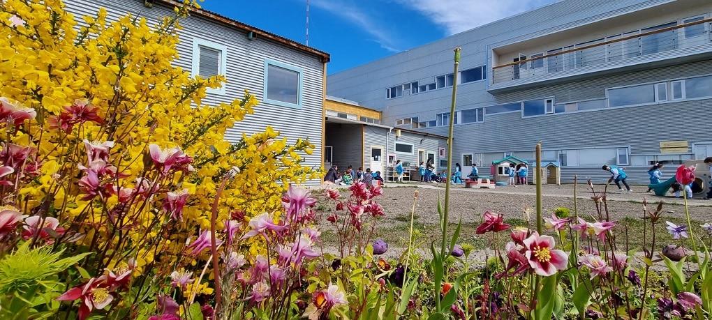 Alumnos de la Escuela Cono Sur buscan fotografías para la Feria de Ciencias