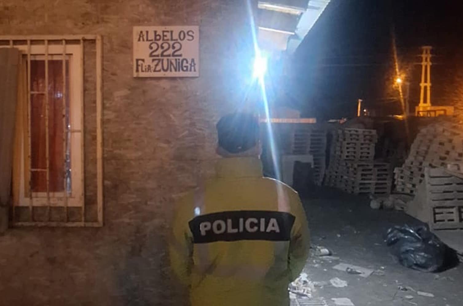 Por un hecho delictivo allanaron una vivienda y encontraron plantas de marihuana