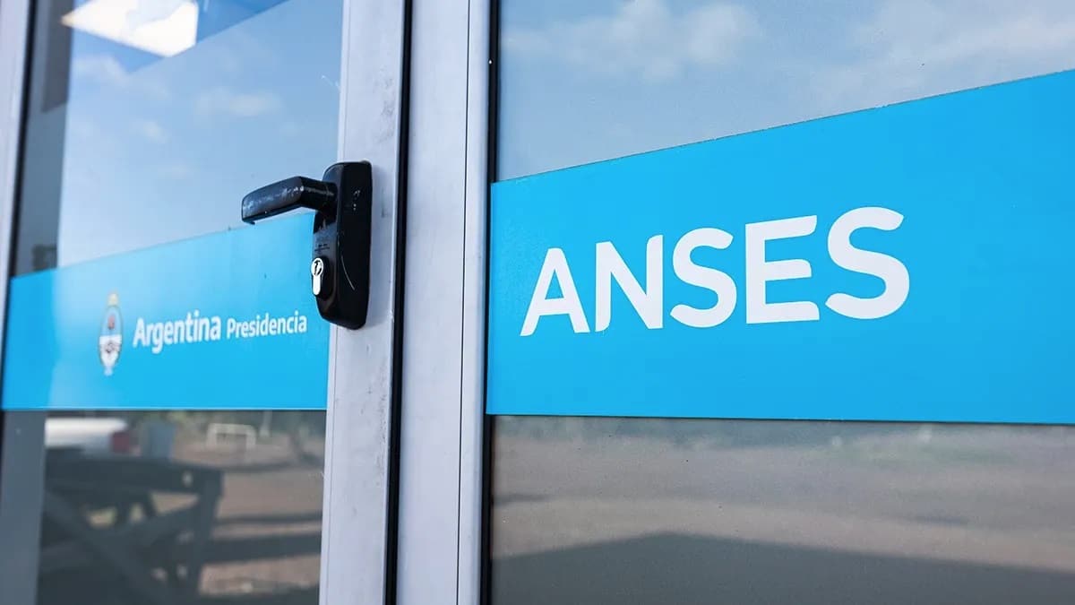 ANSES, Delucca respondió dudas sobre programas