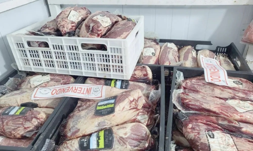 Diego Salpurido, del Frigorífico Trelew, se refirió al decomiso de carne