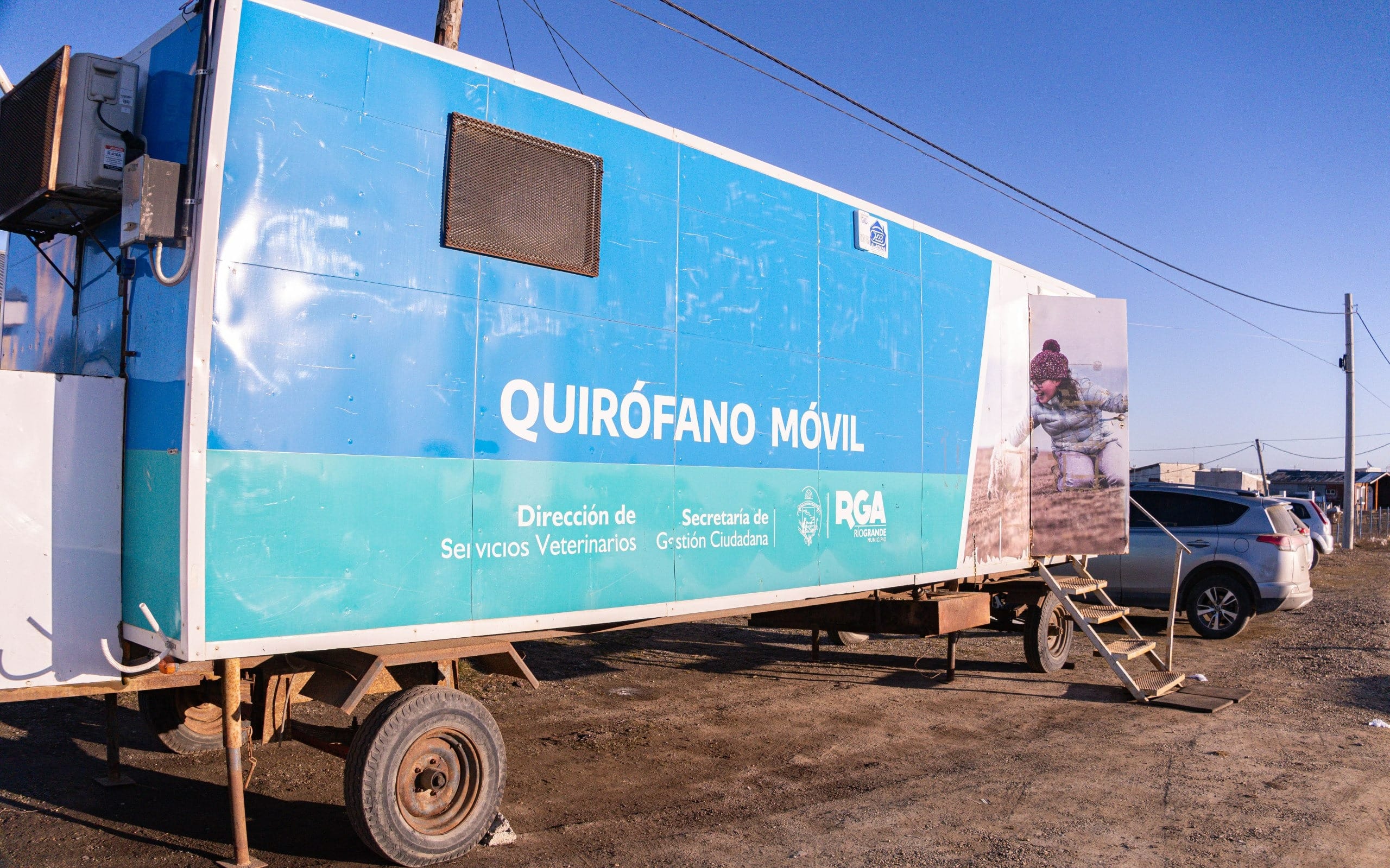 Río Grande pone en marcha jornada gratuita de castración de perros y gatos
