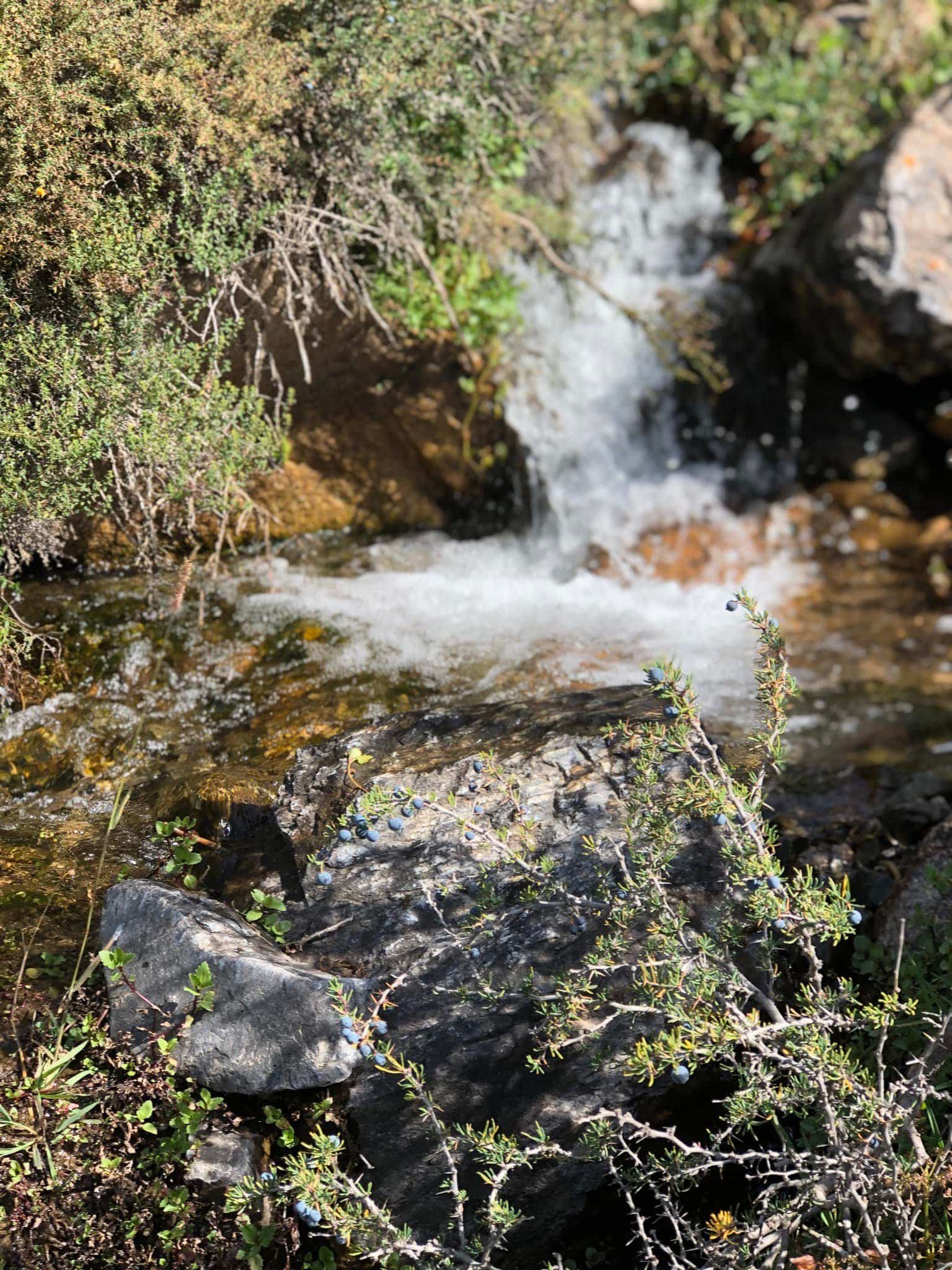 Chorro de la Vieja: un tesoro escondido en la Cordillera de los Andes