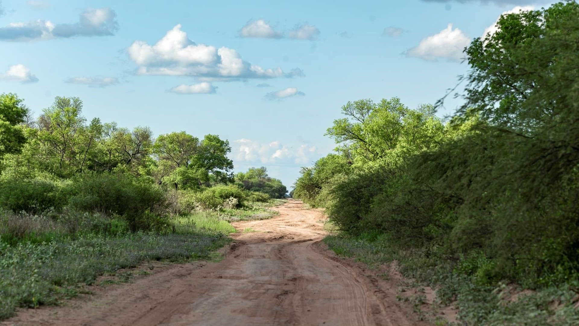 Un pueblo atravesado por un bosque y turismo de naturaleza: una joya silvestre en el corazón del norte de Santiago del Estero