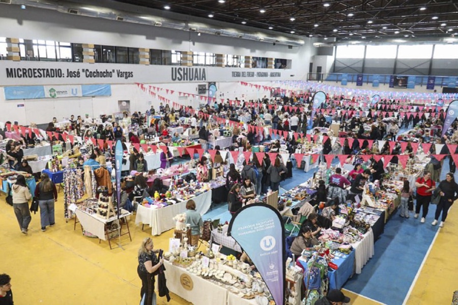 Expo Emprendiendo el Futuro y Mercado Concentrador