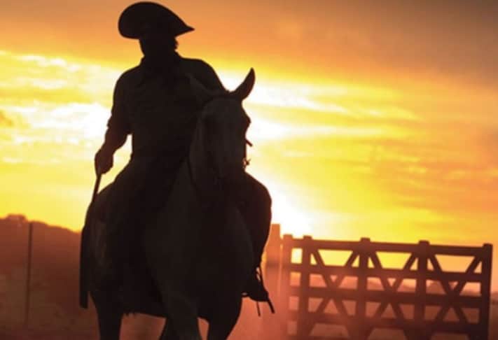 Día Nacional del Gaucho