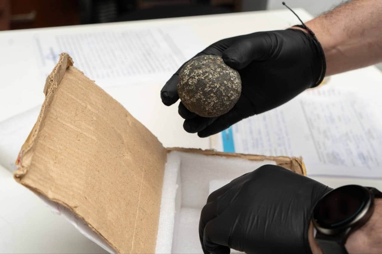 La Justicia recuperó un objeto arqueológico para el Museo del Fin del Mundo